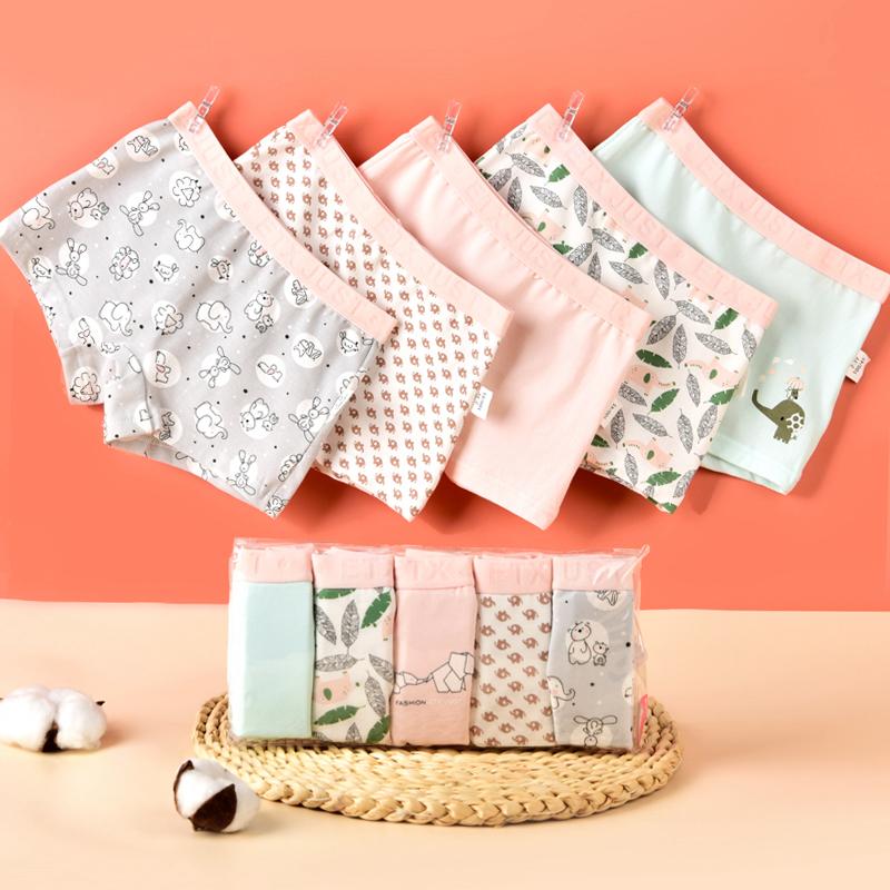 Pack of 5 Cotton Girls Printed Underwear – Soft & Comfortable
